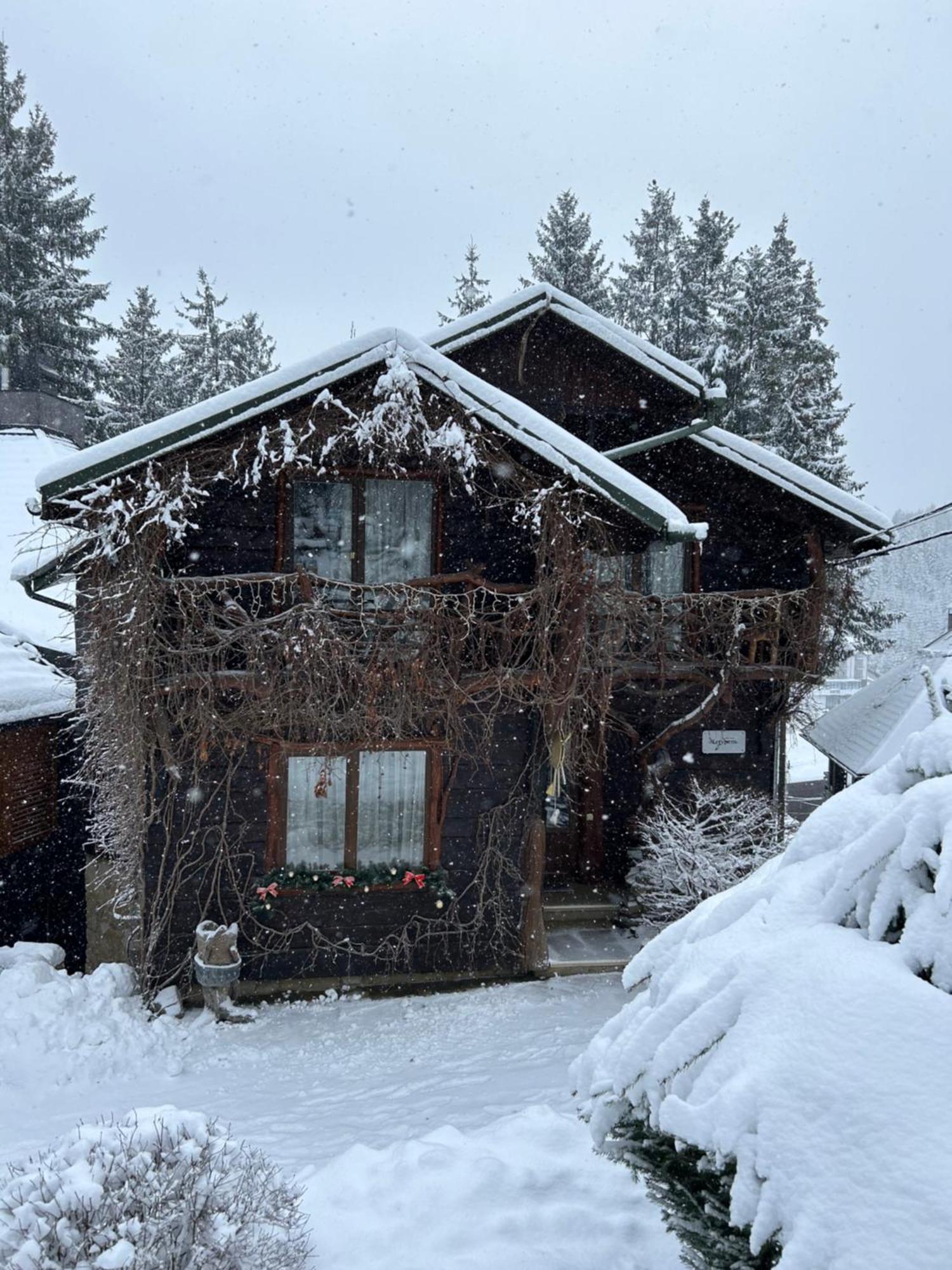 Stara Pravda Villas Bukovel Exterior foto